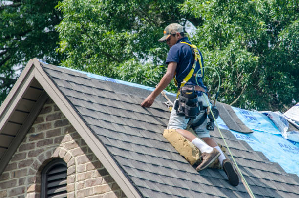 Quick and Trustworthy Emergency Roof Repair Services in Oakleaf Plantation, FL